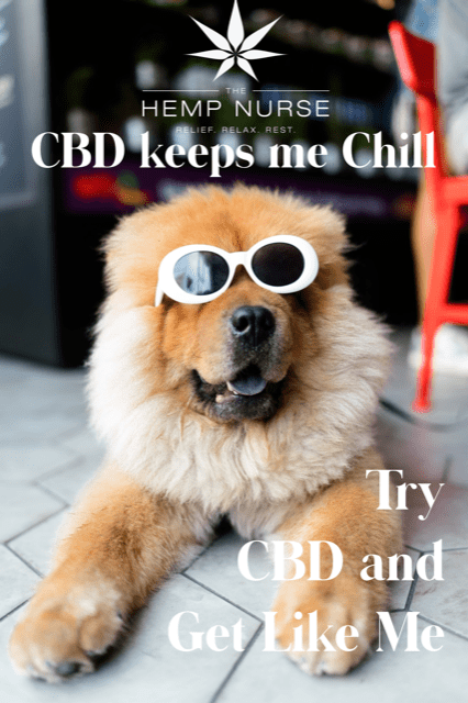 CBD Oil for Dogs