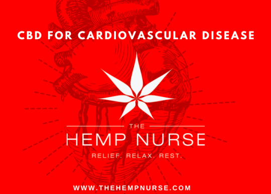 CBD for your Cardiovascular System