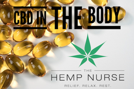CBD Can Stay In Your Body
