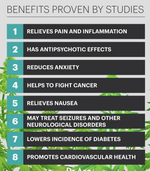 CBD Products 101